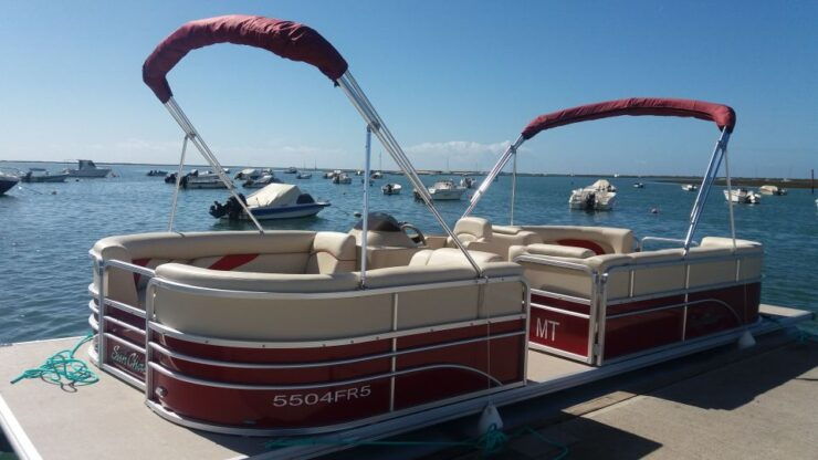 Faro: Ria Formosa Catamaran Tour - Activity Details