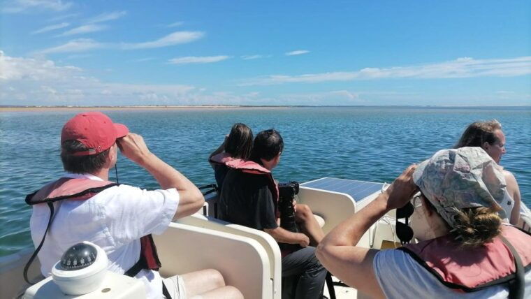 Faro: Ria Formosa Eco Birdwatching Boat Tour - What’s Included and What’s Not