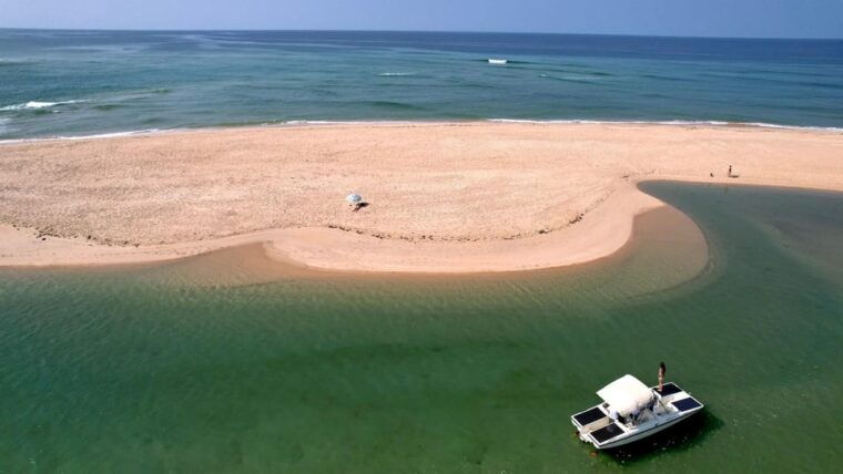 Faro: Ria Formosa Eco Birdwatching Boat Tour - Visuals and Atmosphere