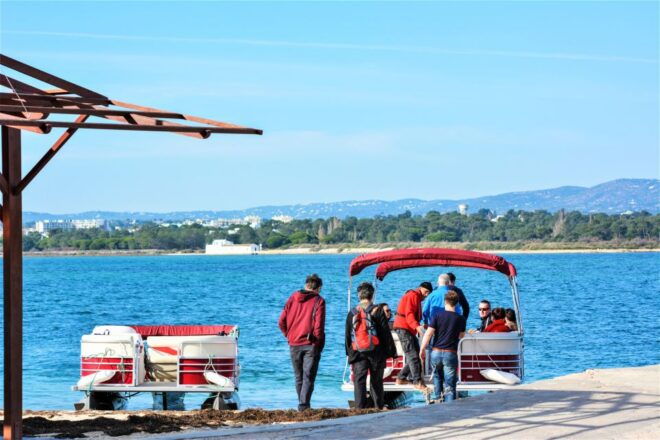 Faro: Ria Formosa Faro Islands Catamaran Tour - Duration and Starting Times