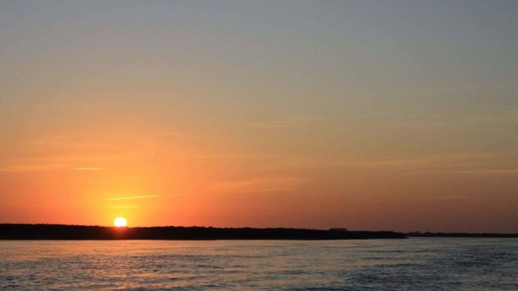 Faro: Ria Formosa Guided Sunset Tour by Catamaran - Experience Highlights