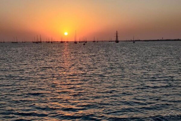 Faro: Ria Formosa Guided Sunset Tour by Catamaran - Common Questions