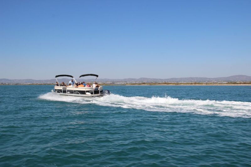 Faro: Ria Formosa Lagoon Small Boat Tour with Local Guide - Exploring Faro from the Water: An Authentic Perspective