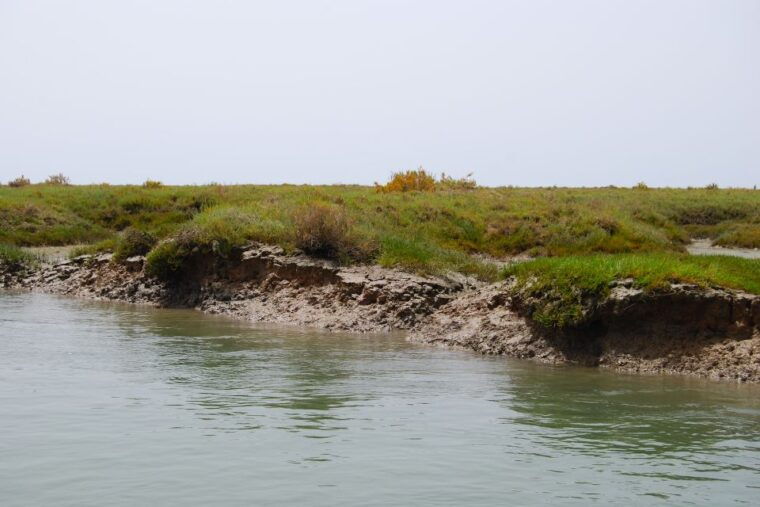 Faro: Ria Formosa Lagoon Small Boat Tour with Local Guide - The Sum Up