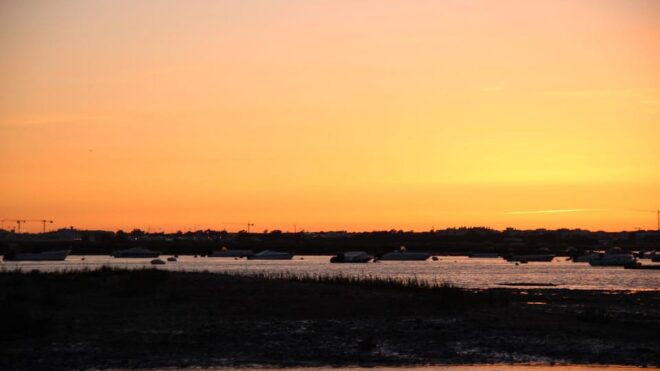 Faro: Ria Formosa Sunset Boat Trip From Faro - Inclusions