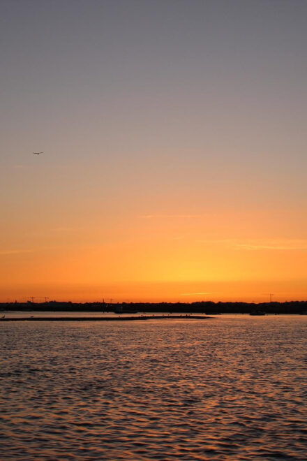 Faro: Ria Formosa Sunset Boat Trip From Faro - Booking Information
