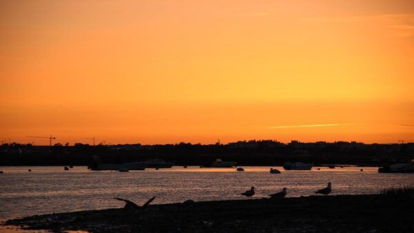 Faro: Ria Formosa Sunset Boat Trip From Faro - What to Bring