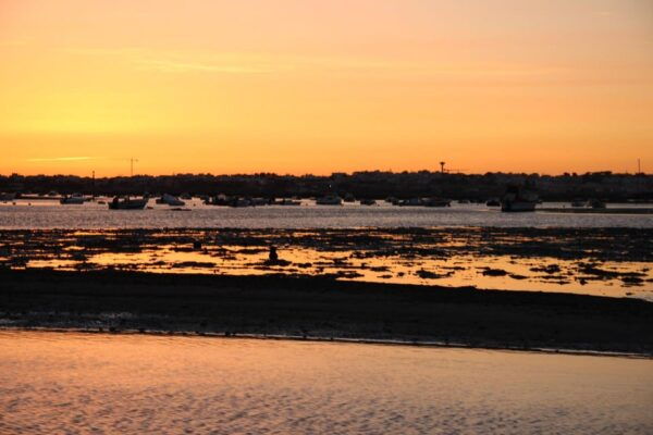Faro: Ria Formosa Sunset Boat Trip From Faro - Frequently Asked Questions