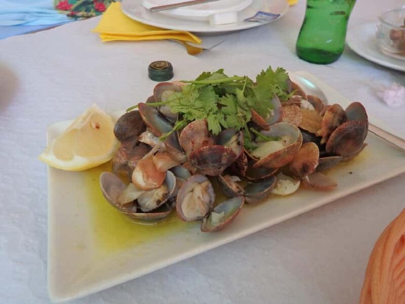 Faro: Ria Formosa - The Grand 3 Islands Boat Tour - Final Thoughts