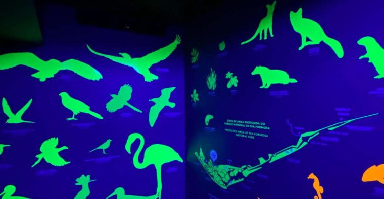 Faro Story Spot - Multimedia Museum&Restaurant: Tour&Tasting - Who Will Love This Experience?