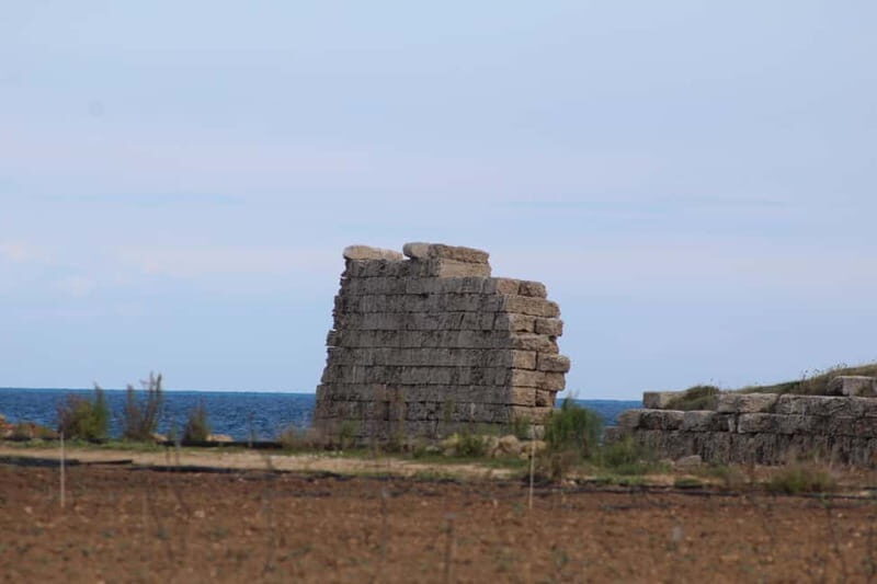 Fasano: e-bike tour to discover the wonders of the area - Practical Details: What You Need to Know