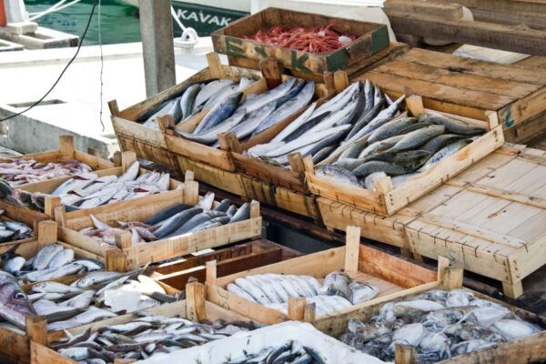 Fasano: Market Tour and Home Cooking Class With Meal - Immerse in Italian Hospitality