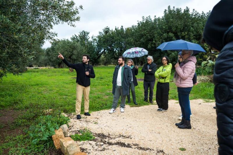 Fasano: Olive Oil Tour With Tasting and Food Pairing - Discovering Apulia’s Olive Oil Heritage