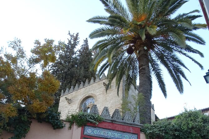 Fascinating Discovery of Albaicín and the Gypsy Quarter of Sacromonte - Traditions and Customs in Sacromonte