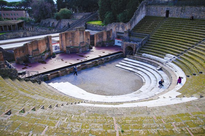 Fast Access Exclusive Private Ancient Pompeii Half Day Tour With Local Guide - Traveler Reviews