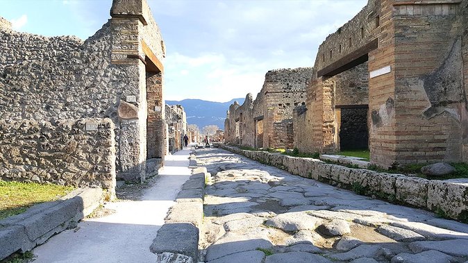 Fast Access Exclusive Private Ancient Pompeii Half Day Tour With Local Guide - Additional Information and Support