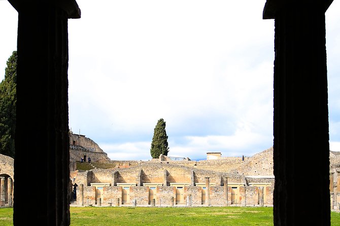 Fast Access Exclusive Private Ancient Pompeii Herculaneum & Oplontis Guided Tour - Questions