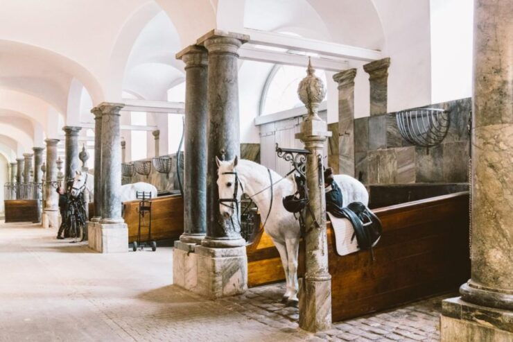 Fast-Track Christiansborg Palace Copenhagen Private Tour - Multilingual Live Tour Guide Availability