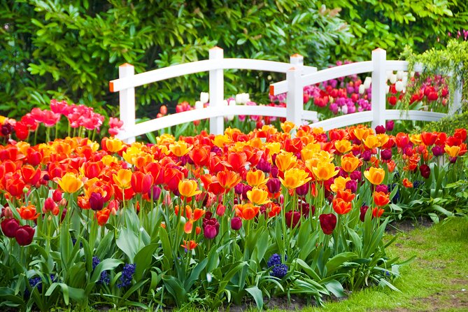 Fast Track Keukenhof Gardens From Amsterdam by Private Car - Pricing