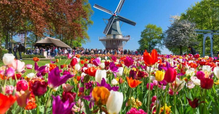 Fast Track Keukenhof Gardens From Amsterdam by Private Car - Free Cancellation and Flexible Booking Options