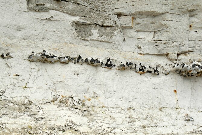 Fast-Track UNESCO Stevns Klint - Copenhagen Day Trip by Car - Common Questions