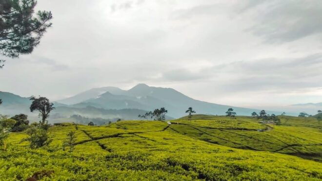 Fast Train From Jakarta To Bandung With Airport Pickup - Customer Experience Highlights
