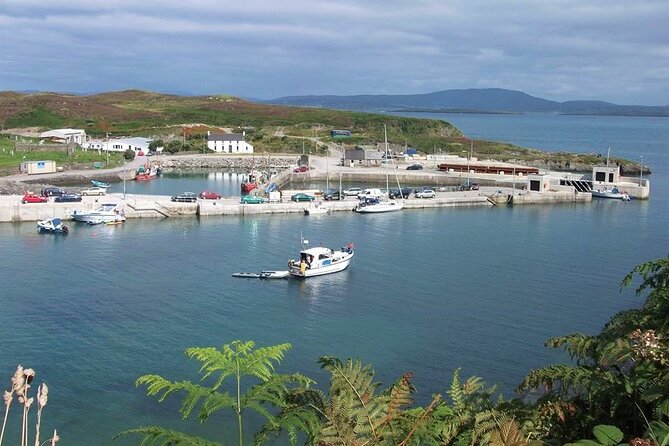 Fastnet Rock Lighthouse & Cape Clear Island Tour From Schull West Cork - Traveler Reviews