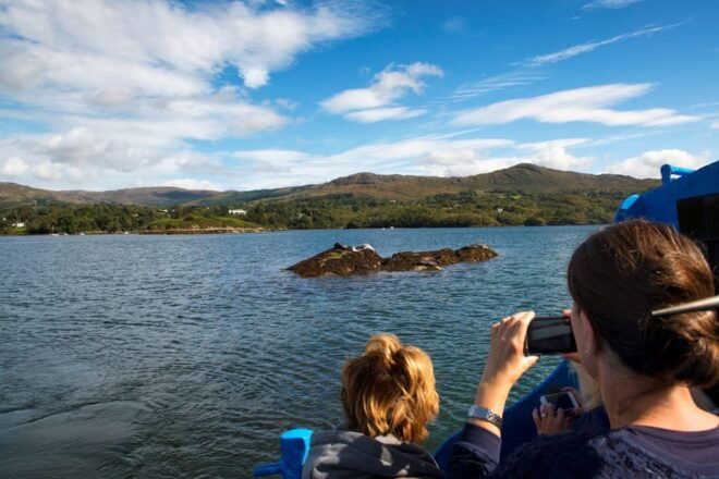 Fastnet Rock Lighthouse Direct Boat Tour-Baltimore.Guided. - Customer Reviews and Ratings