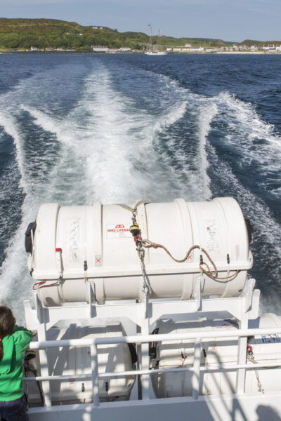 Fastnet Rock Lighthouse Direct Boat Tour-Baltimore.Guided. - Wildlife Spotting Opportunities