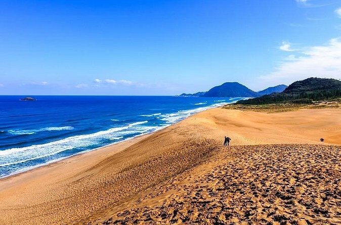 Fat Bike Tour of Tottori Sand Dunes with Sand Museum Visit - Lunch at Sakyu Center—A Seafood Feast  