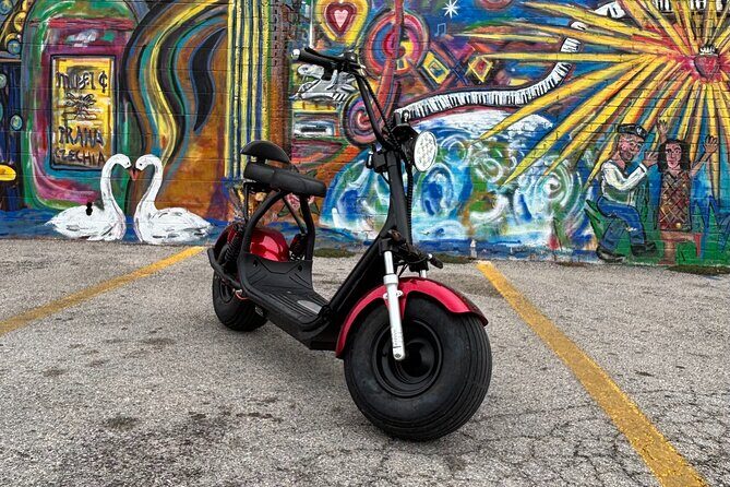 Fat Tire 2 Seater Rental in Houston - Good To Know