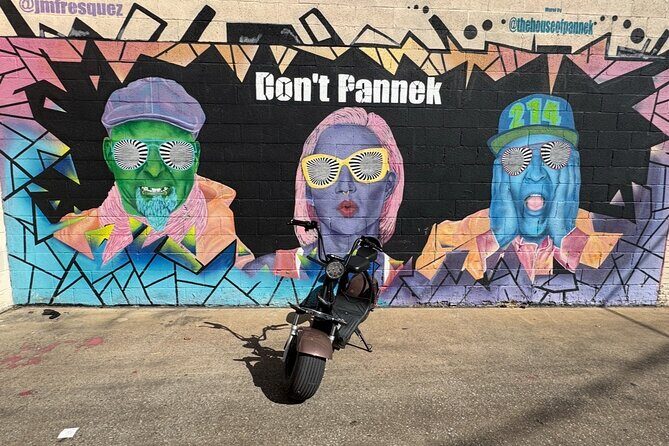 Fat Tire 2 Seater Rental in Houston - A Closer Look at the Cost and Value