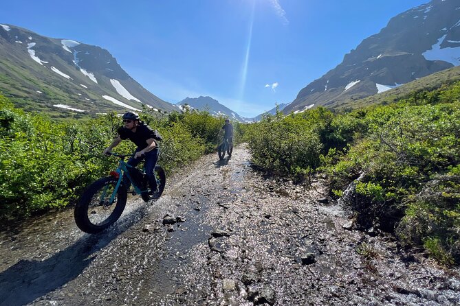 Fat Tire Biking in Chugach State Park Tour - Authenticity of Reviews