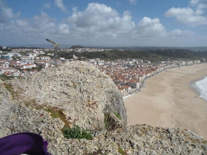 Fátima, Batalha, Alcobaça, Nazaré and Óbidos Private Tour - Additional Information