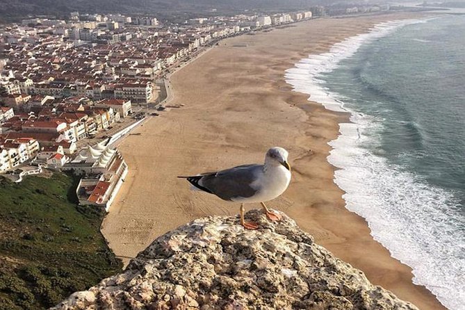 Fatima, Batalha, Nazare, Obidos Full-Day Group Tour From Lisbon - Tour Highlights and Inclusions