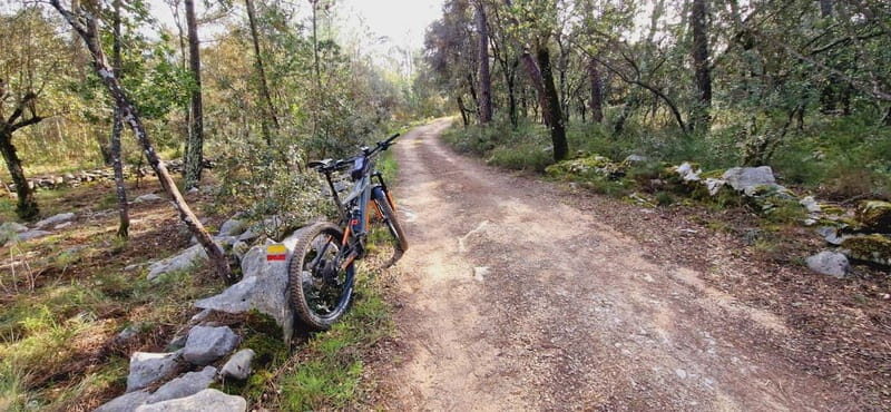 Fátima: E-Bike Tour to Dinosaur Footprints Natural Monument - Good To Know