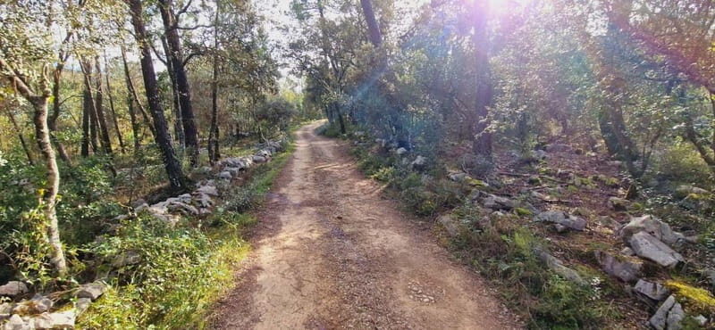 Fátima: E-Bike Tour to Dinosaur Footprints Natural Monument - What’s Included and Whats Not