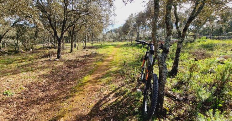 Fátima: Jurassic E-bike Tour - Good To Know