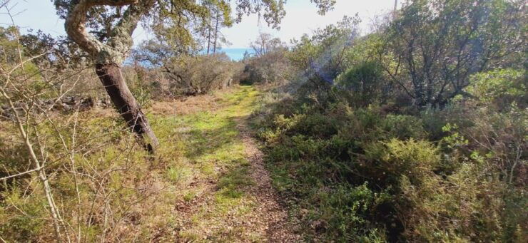 Fátima: Jurassic E-bike Tour - Experience Highlights