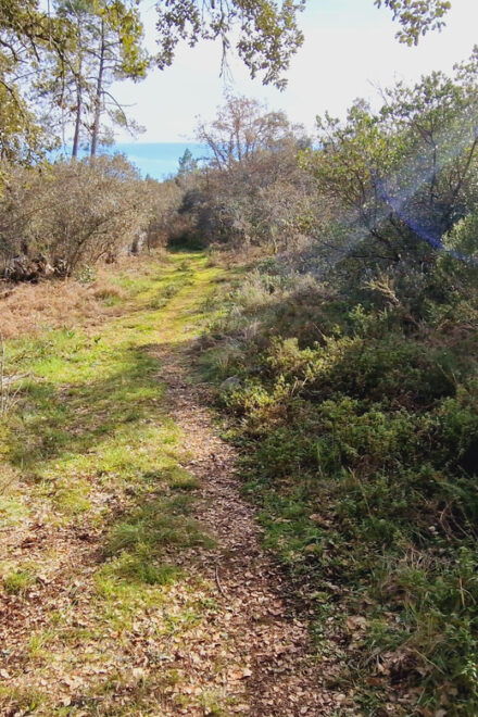 Fátima: Jurassic E-bike Tour - Pricing and Booking