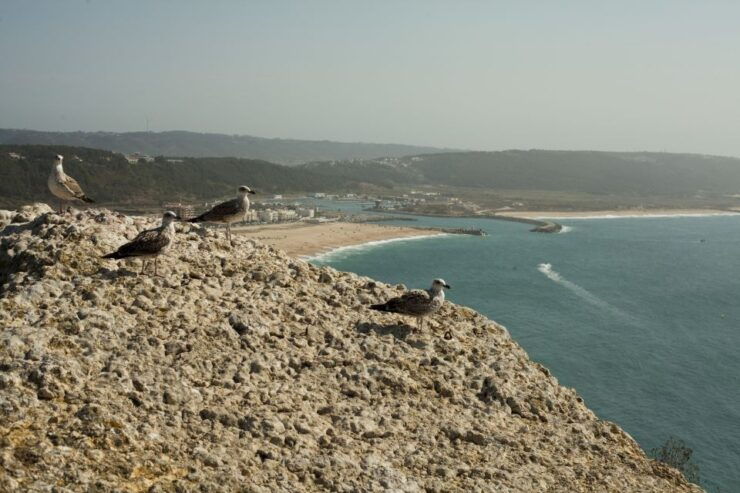 Fatima, Nazaré and Óbidos Full-Day Tour - Tour Experience Highlights