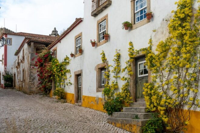 Fátima, Nazaré and Óbidos Private Tour - Tour Experience