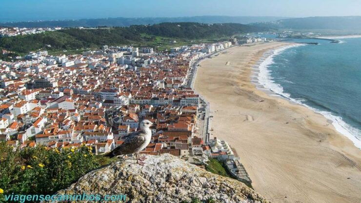 Fatima / Nazare / Obidos - Highlights of Batalha Monastery