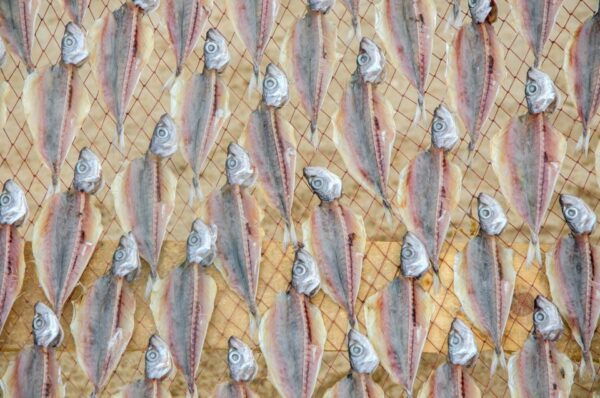 Fátima, Óbidos and the Atlantic Coast Day Tour From Lisbon - The Sum Up