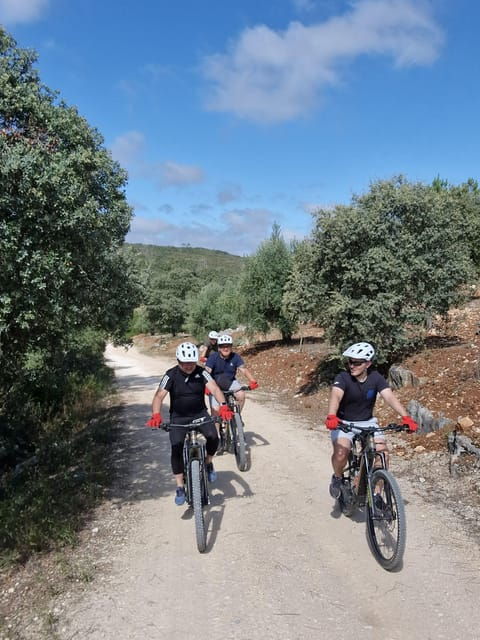 Fátima: Sanctuary, Castle & Gastronomy - All-iN E-bike Tour - Final Thoughts: Is It Worth It?