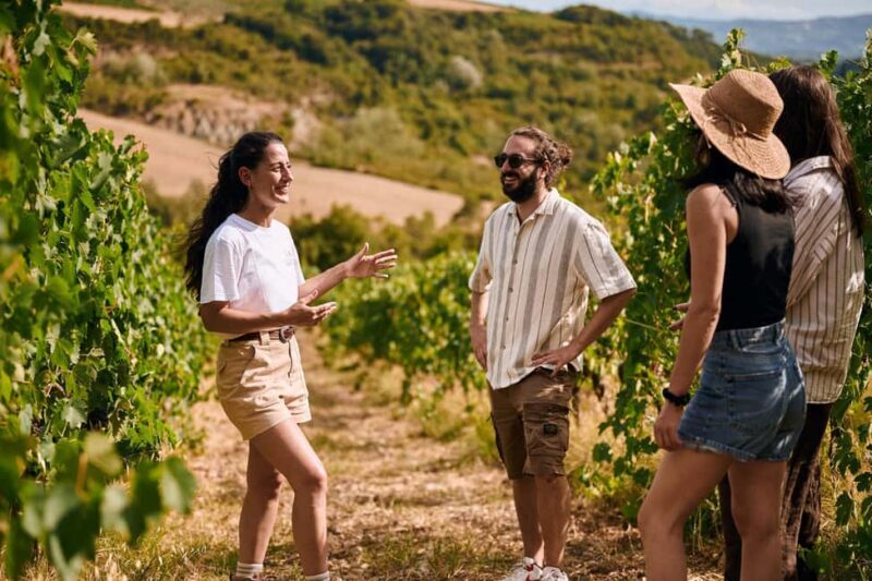 Fattoria La Leccia, Monterspertoli: vineyard walk & tasting - An In-Depth Look at the Vineyard Walk & Tasting Experience