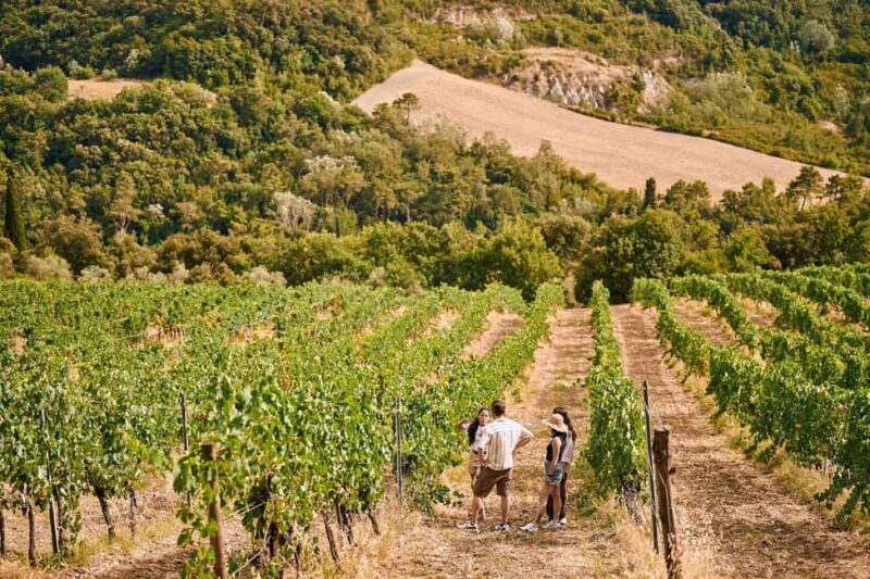 Fattoria La Leccia, Monterspertoli: vineyard walk & tasting - FAQ