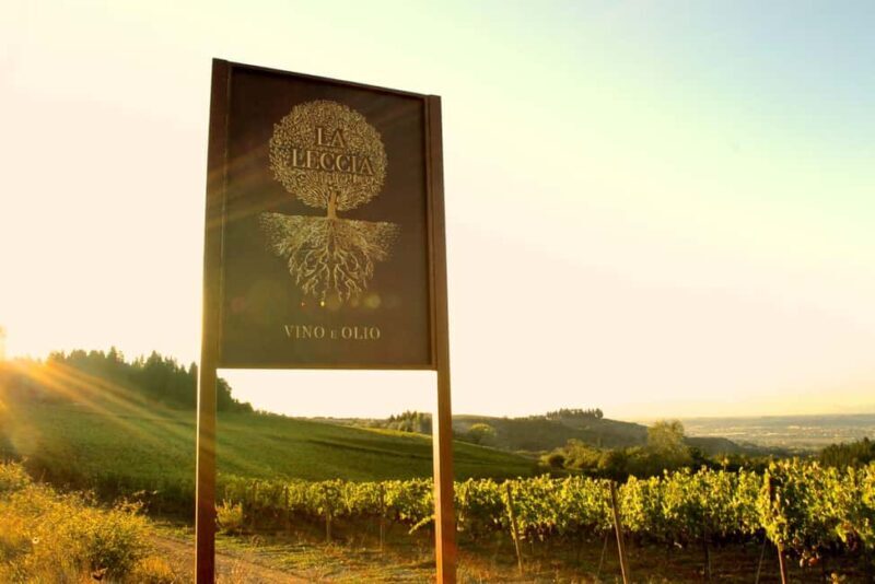 Fattoria La Leccia: Winery Tour and Tastings in Montespertoli - An Authentic Taste of Tuscany