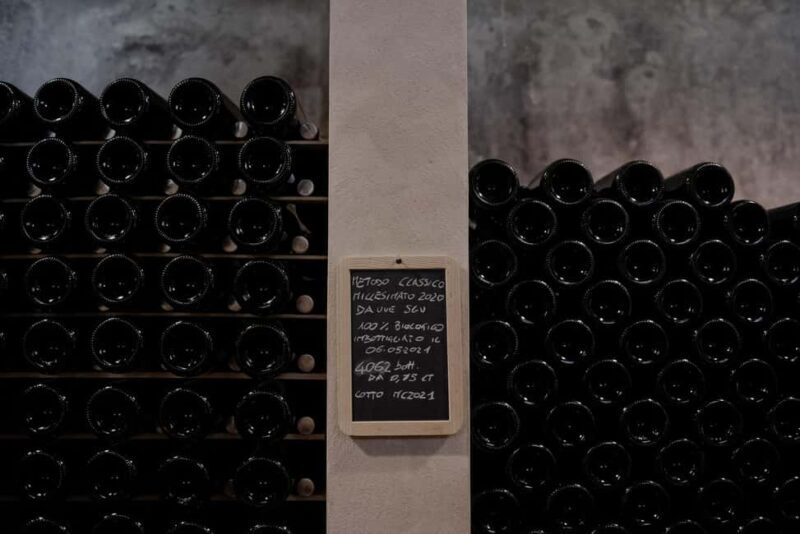 Fattoria La Leccia: Winery Tour and Tastings in Montespertoli - The Tasting Experience