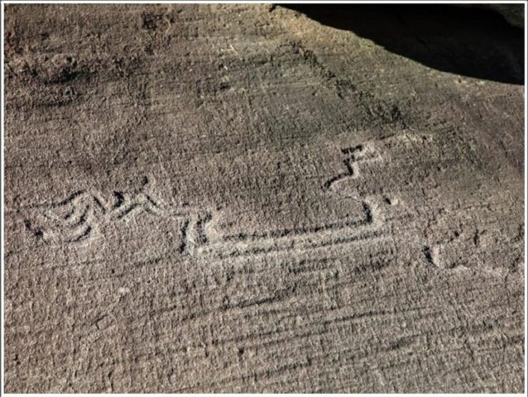 FAUNA AND FLORA OF EXPOSED AND ENGRAVED ROCKS - Importance of Engraved Rocks